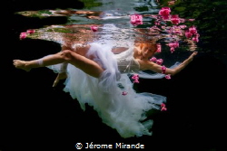 River flower by Jérome Mirande 